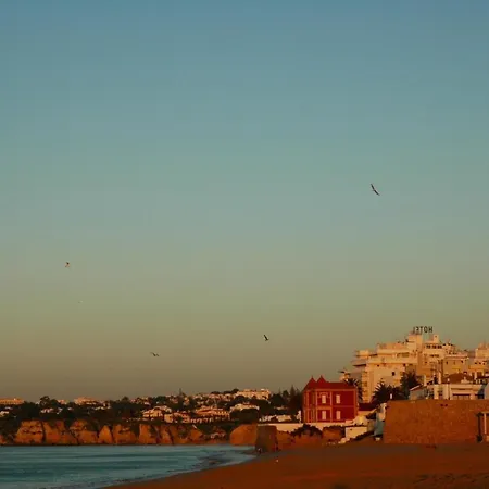 Edificio Caique C Apartman
