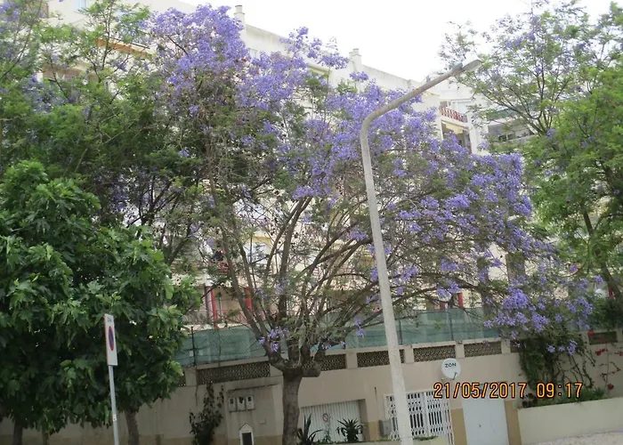 Edificio Caique C דירה *